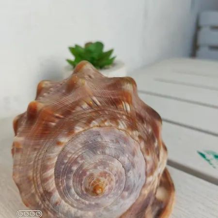 Maris * Spalato